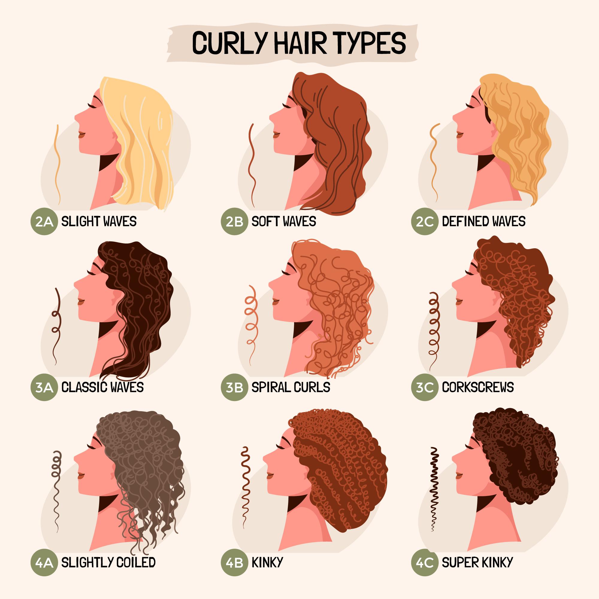 Различия волос. Типы волнистых волос. Типы кучерявых волос. Типы кудрявых волос. Типы завитка кудрявых волос.